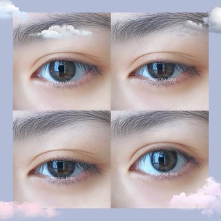 SPA GRAY GDIA 11.4MM