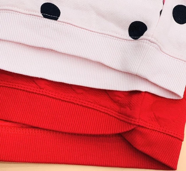 Bộ nỉ mickey hàng xịn