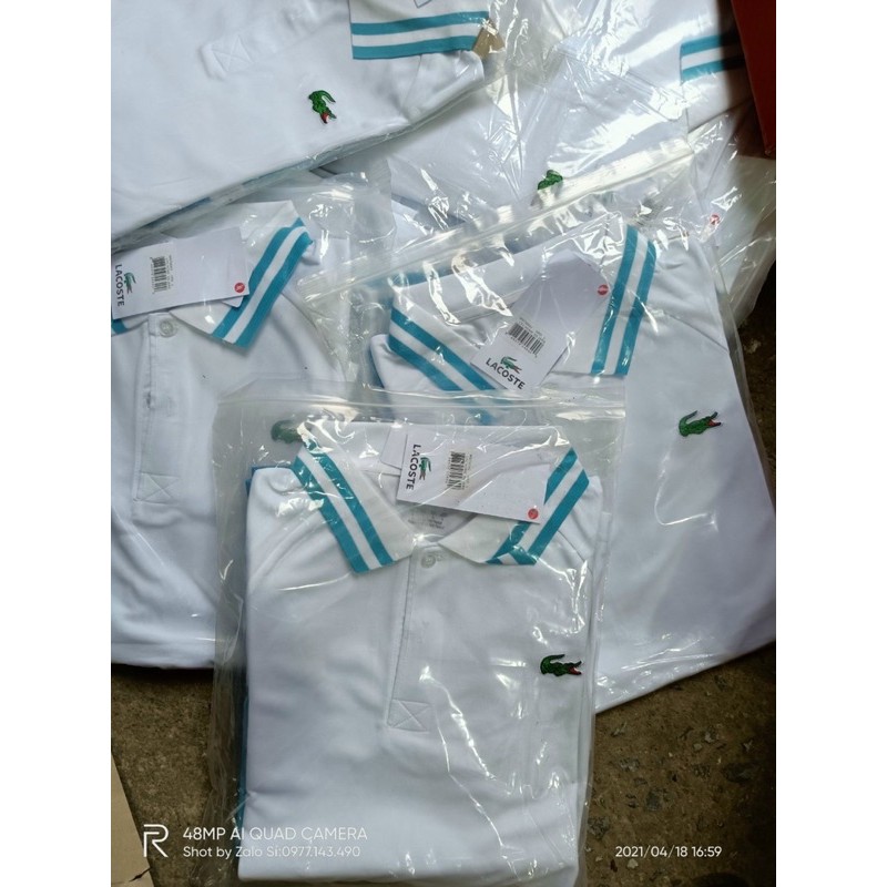 bộ thể thao mặc ở nhà lacost