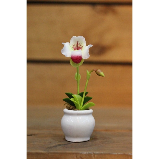 CHẬU HOA ĐẤT SÉT MINI