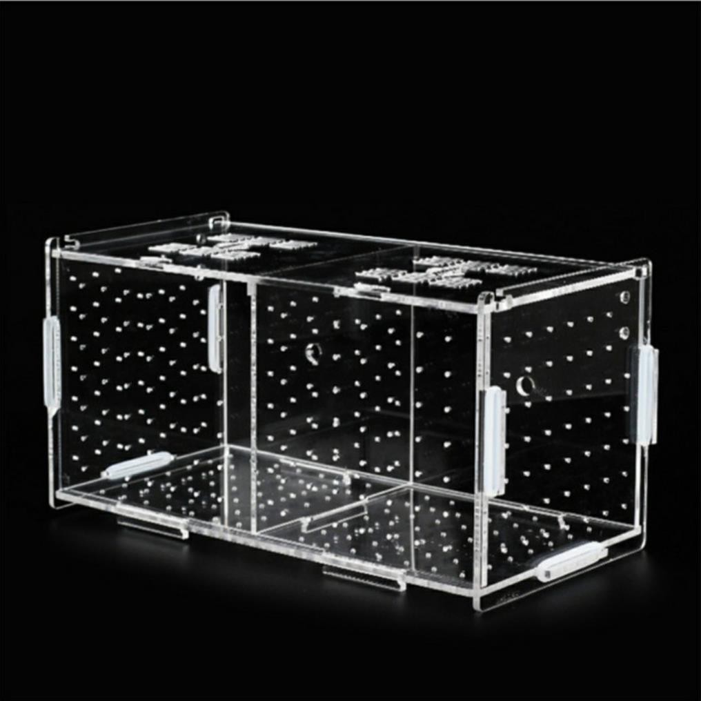 Lồng dưỡng cá tép Mica siêu trong- Lồng dưỡng tép bể thủy sinh