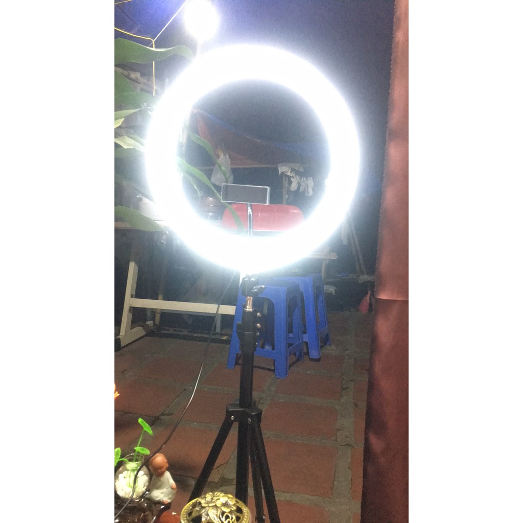 Đèn led livestream 26cm - 33cm hỗ trợ bắt sáng cho spa, nối mi, livetream fb,quay tiktok, giá không bao gồm chân