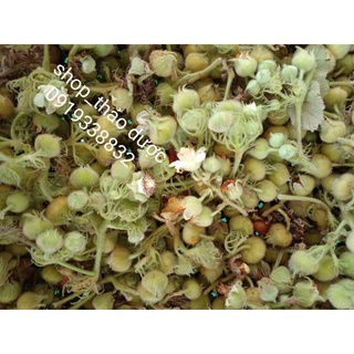 100g Nụ hoa mâm xôi hỗ trợ cho nam giới