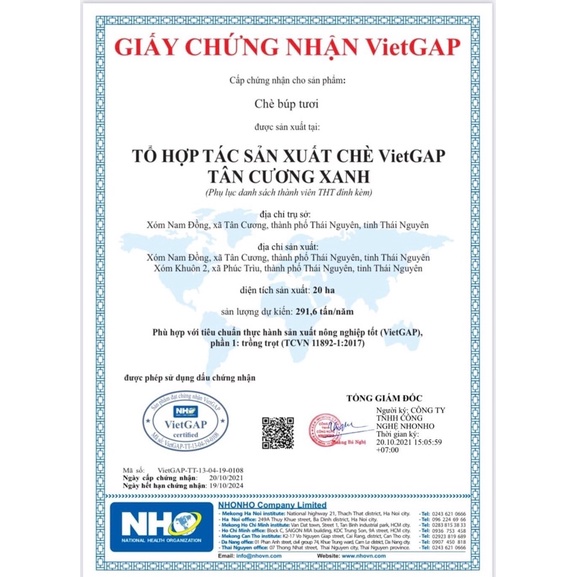 Trà Ướp Hoa Nhài 100gr / 200gr / 500gr TÂN CƯƠNG XANH