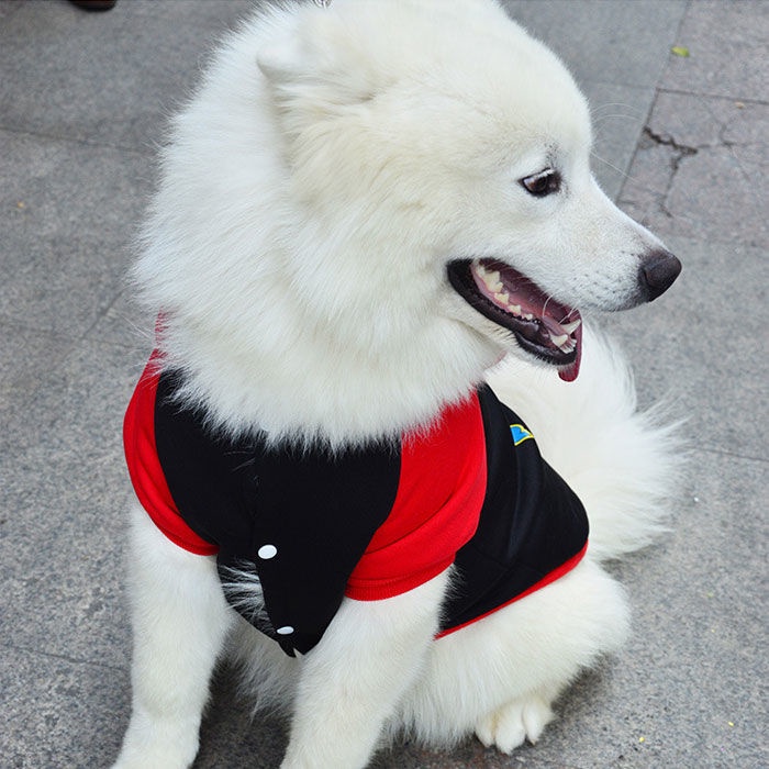 quần áo cho chó cưng corgi chó trung bình và lớn lông cừu dày lông cừu Samoyed Alaska mùa thu và mùa đông quần áo