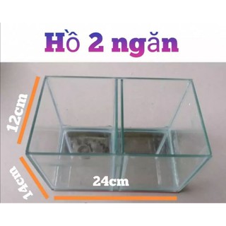 Hồ Kính 2 Ngăn Nuôi Cá Cảnh