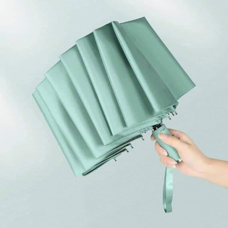 Ô tự động Ajisai Nhật