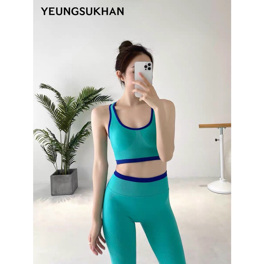 Set bộ tập gym nữ dệt kim áo bra kèm mút quần dài chun mông hàng nhập cao cấp Bin Sports BD087