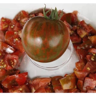 Hạt giống cà chua zera socola
