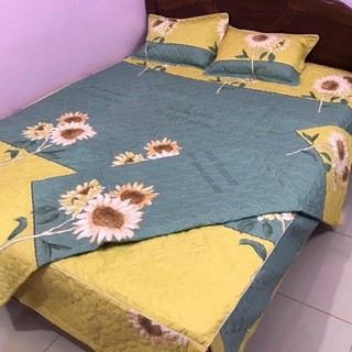 Bộ Ga Phủ Trần Bông Cotton Poly Kích Thước 1m6/1m8/2m