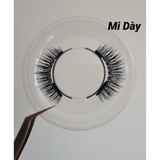 Bộ Kẹp Mi Nam Châm (Tặng Kèm 2 Bộ Mi Cao Cấp)