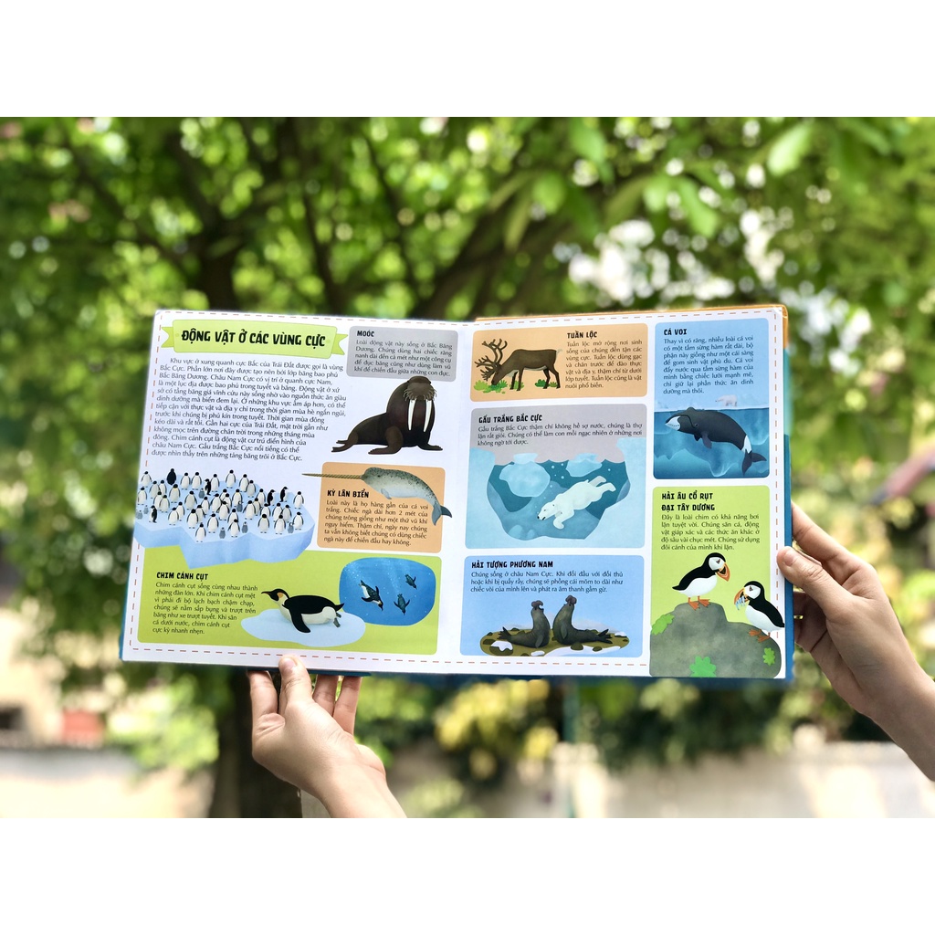 SÁCH - Atlas động vật