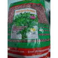 Hạt giống mùi Ngò Hạt Lớn Pháp ( 1kg )