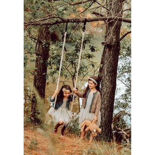 xích đu gỗ tần bì cao cấp