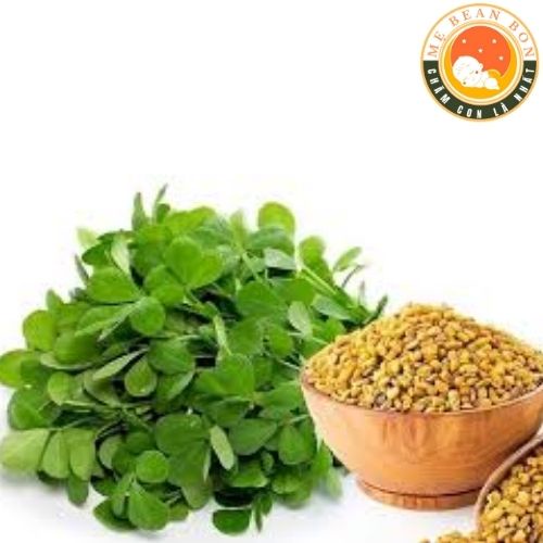 Lợi Sữa Fenugreek Nature's Garden 610mg Hộp 100 Viên của Anh giúp mẹ tăng sản lượng sữa, nguồn sữa thơm ngon cho bé