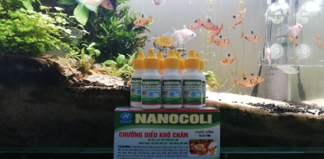 Ecoli Dành Cho Thỏ