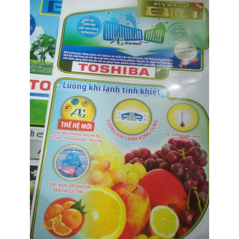 Team dán tủ lạnh toshiba