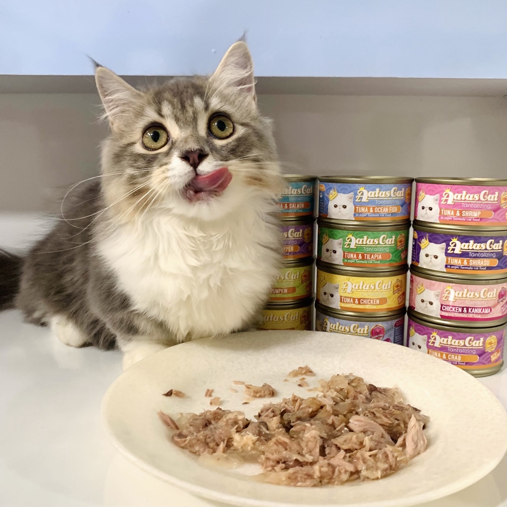 Pate AATas lon cho mèo 80g - Pate mèo lon Aatas Cat nhập khẩu Thái Lan - XOIML