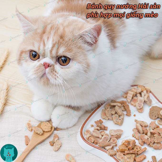 [CAT ONLY]Treat Thưởng Cho Mèo JFamille, Snack Hải Sản Nướng, Kích Thích Vị Giác, Hỗ Trợ Tiêu Hóa Tối Ưu. Gói 25gr. JF44