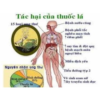 Smoke out nga cai thuốc
