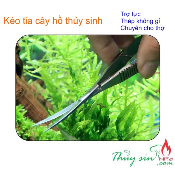 Kéo trợ lực tỉa cây thủy sinh|Kéo tỉa cây Inox