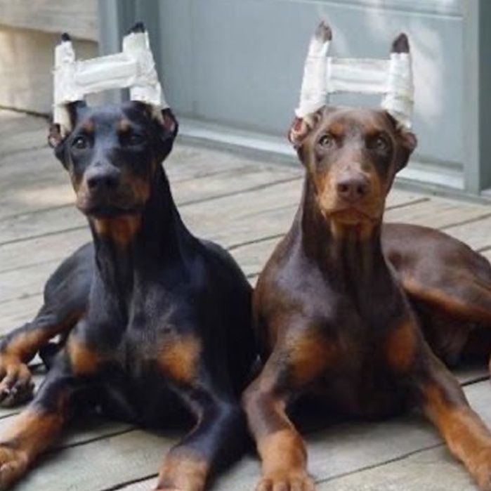 Băng dính thể thao Thái Lan  loại 1