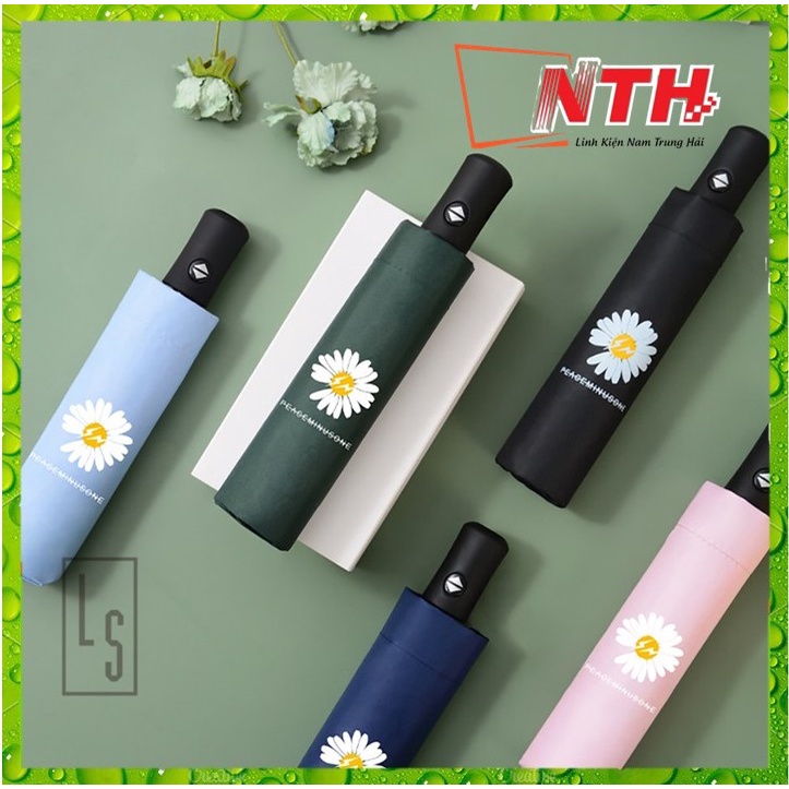 DÙ HOA CÚC BUNG TỰ ĐỘNG CỰC XINH (Màu ngẫu nhiên)