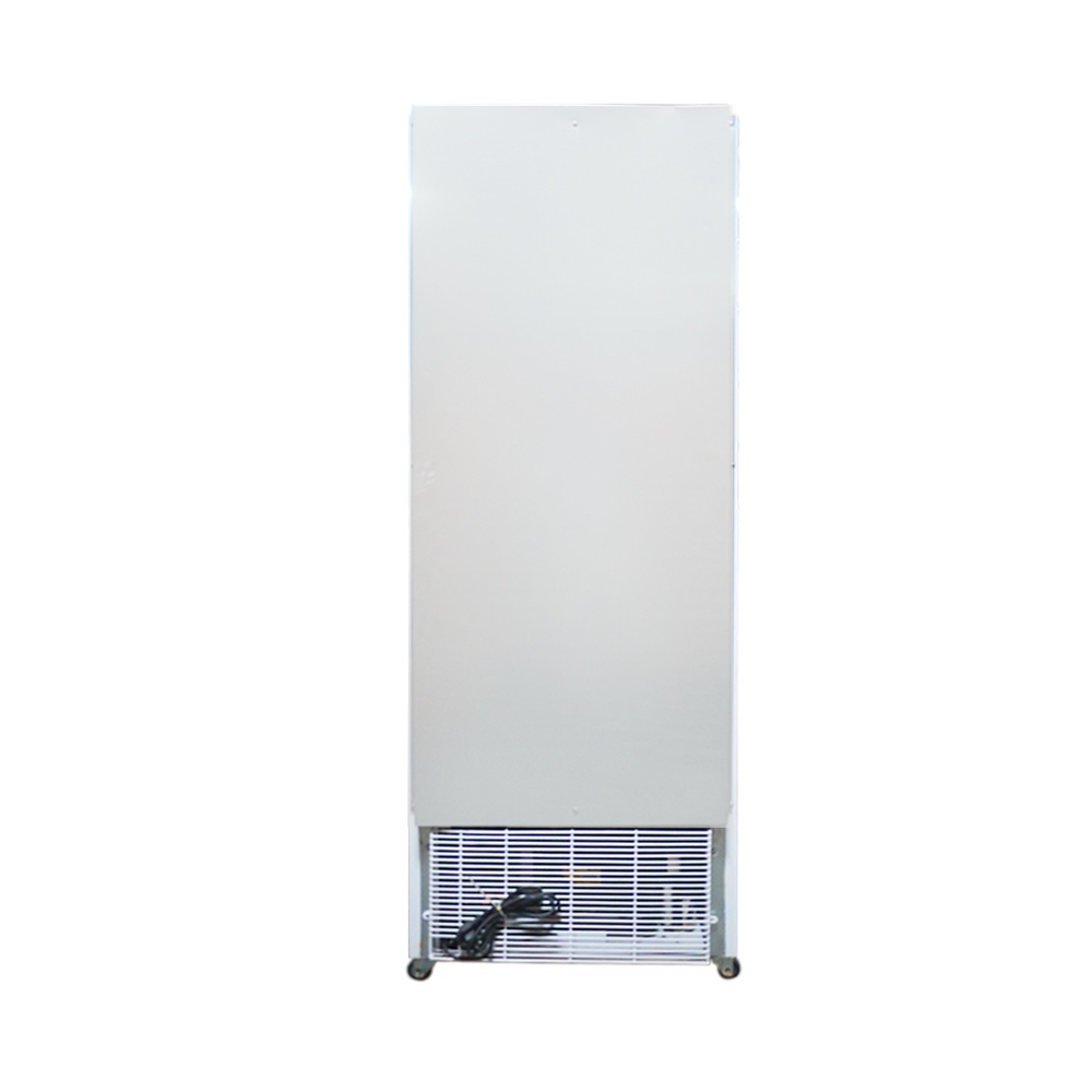 [MIỄN PHÍ GIAO LẮP] IF-350G - Tủ đông đứng 1 cánh Alaska 350 lít IF-350G