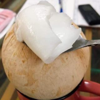 Dừa xiêm sọ Bến Tre