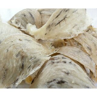 Yến chưa gấp lông
