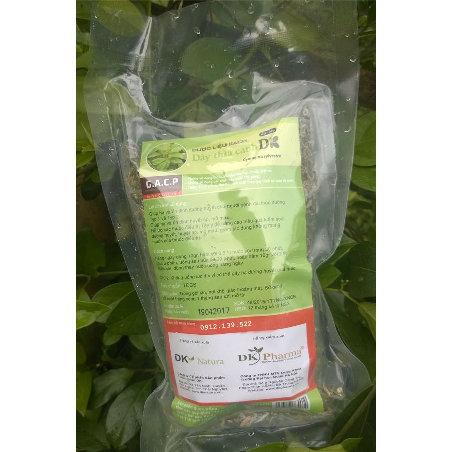 Dây thìa canh - Trà dược liệu có DÂY THÌA CANH LÁ TO - DK Natura - Ổn định đường huyết người tiểu đường
