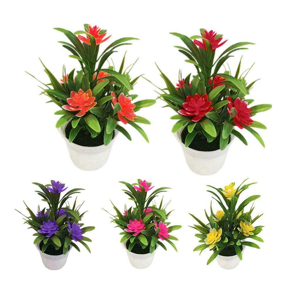 1 Chậu Cây Bonsai Nhỏ Nhiều Màu Sắc Để Bàn Trang Trí Nhà Cửa / Văn Phòng