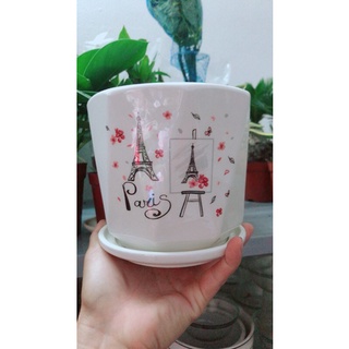 Chậu Trồng Cây (chậu sứ)