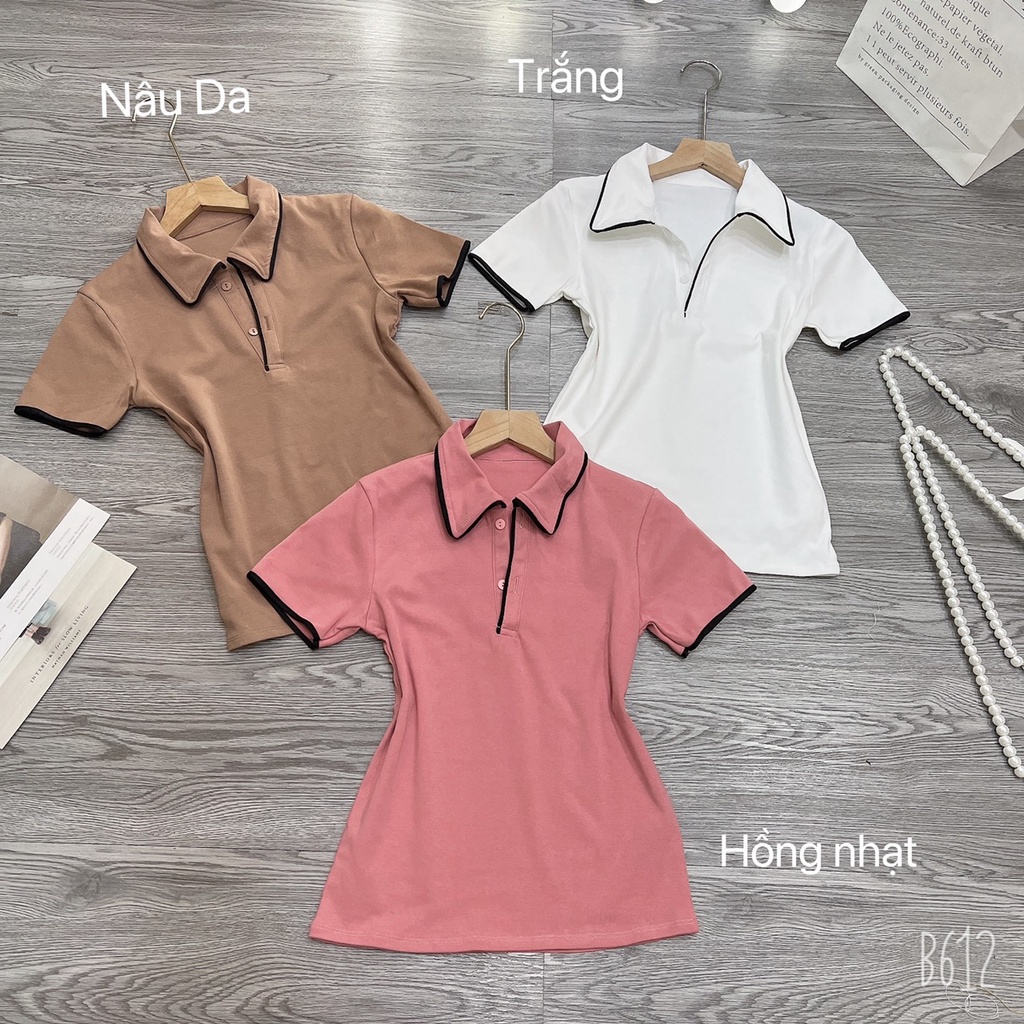 Áo thun body cổ bẻ phối viền đủ màu, chất vải co giãn 4 chiều lên From tôn dáng
