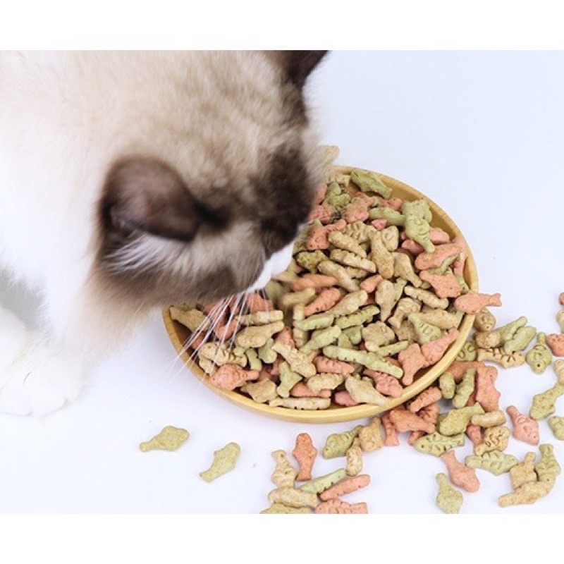 Bánh cá thưởng catnip thơm ngon gói 100g