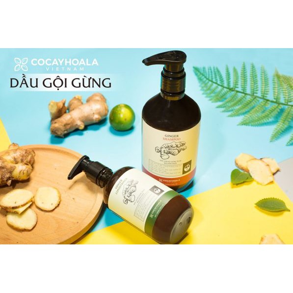 [SIÊU SALE] Dầu xả COCAYHOALA chiết xuất gừng tươi 300ml.