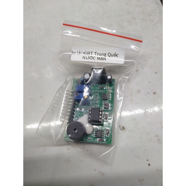 Bo lái igbt nước mặn