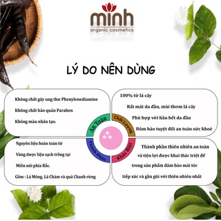 Thảo dược gội đầu - Dalabo