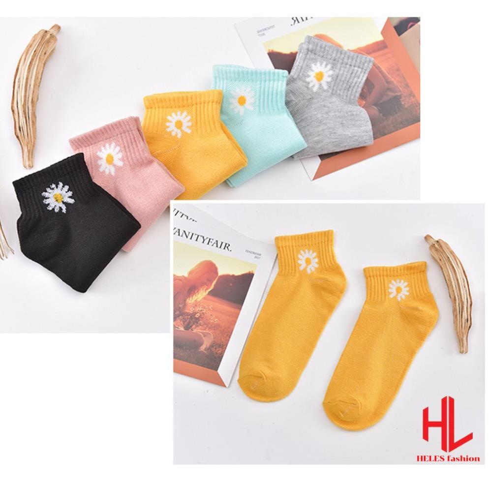 Tất vớ nữ cổ ngắn hoa cúc - tất cổ ngắn Hàn Quốc nhiều màu X.store SP001020
