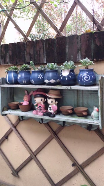 Chậu cây mini siêu xinh ạ combo theo hình