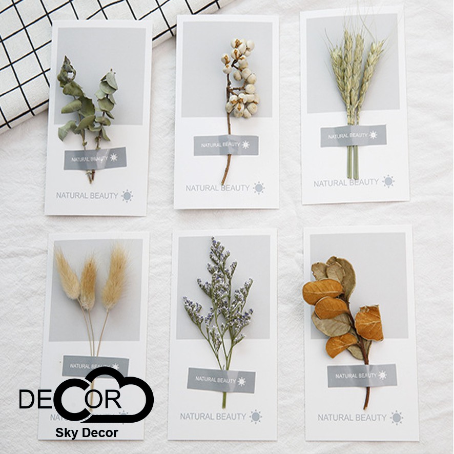 THIỆP HOA LÁ TRANG TRÍ NHÀ CỬA, CỬA HÀNG, POSTCARD, ĐẠO CỤ CHỤP ẢNH SẢN PHẨM