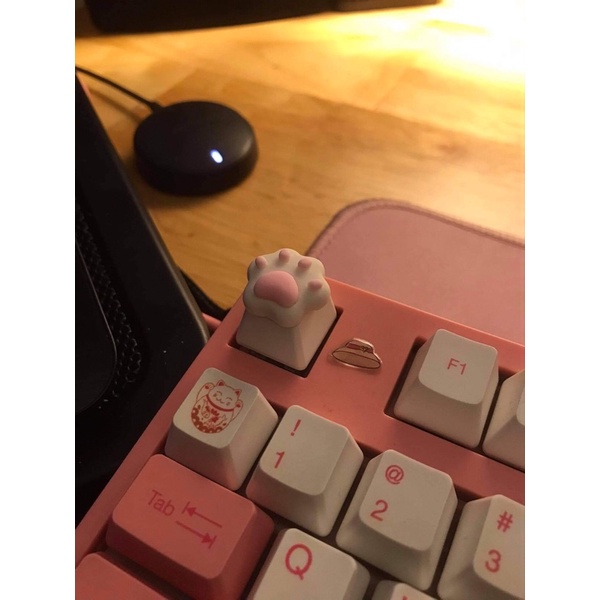 Keycap chân mèo, cardcaptor sakura, mông mèo nơ hồng