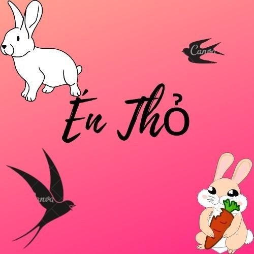 ÉN THỎ SHOP 
