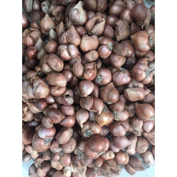 500g Hành ta loại 1 cực chất