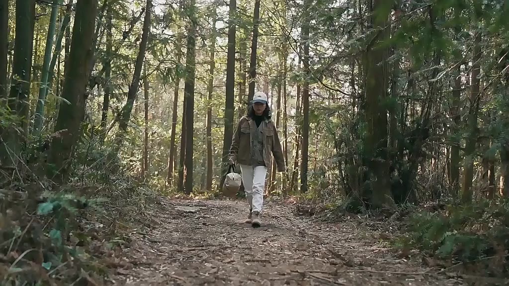 Lều dã ngoại tự bung 4-6 người chống nước chống tia tử ngoại - Lều Panorama | BigBuy360 - bigbuy360.vn