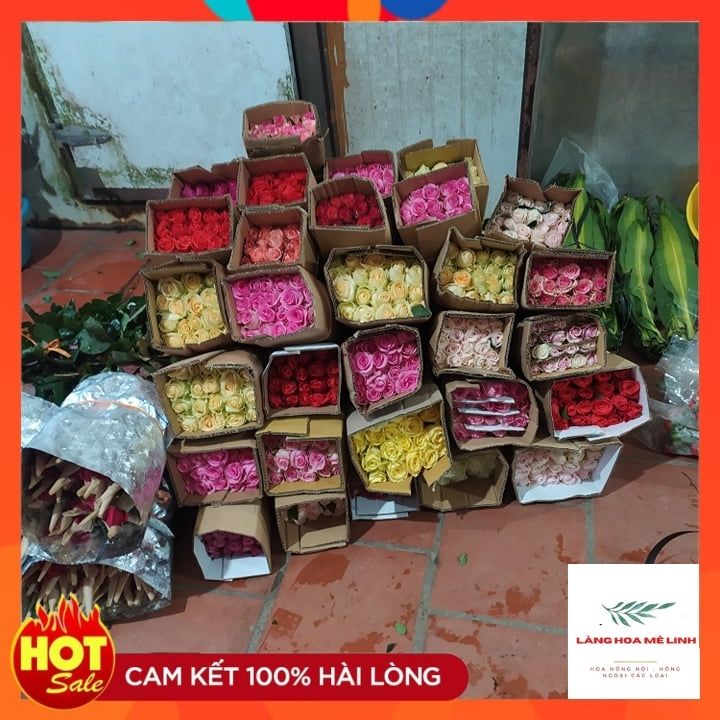 - Hoa tươi cắm trang trí nhà cửa, văn phòng