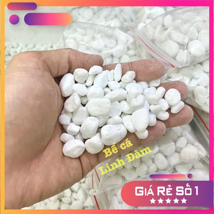500gram Sỏi trắng trang trí bể cá - Chậu cây, tiểu cảnh