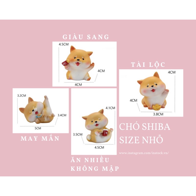 Chó Shiba thần tài cute