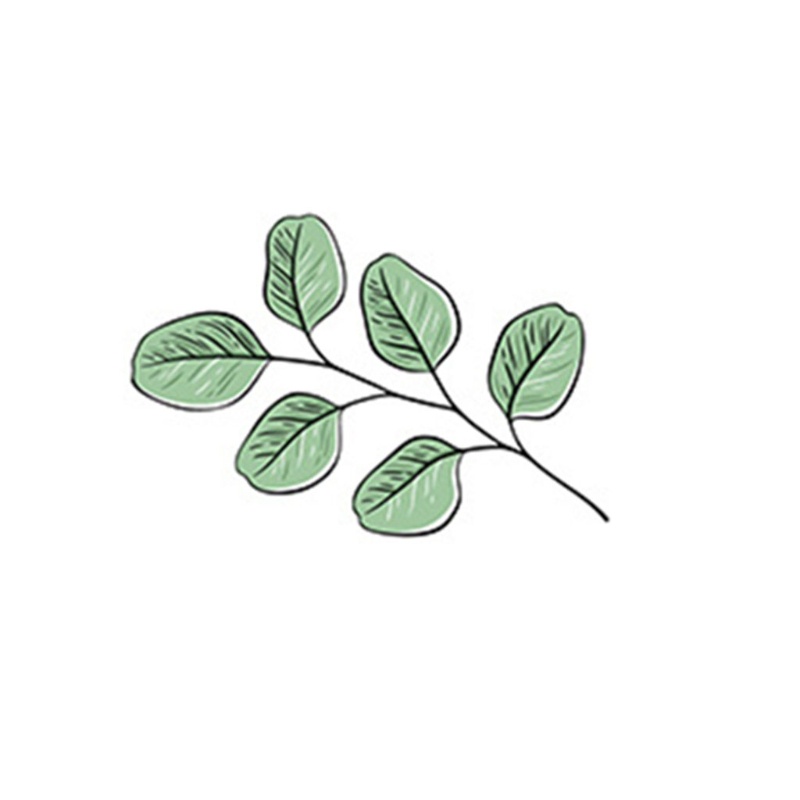 Khuôn Cắt Giấy Làm Từ Kim Loại Hình Lá Trang Trí Scrapbook