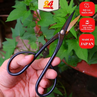 Kéo tỉa bonsai Nhật thép đúc, kéo tỉa làm thủ công Kohzo Koshino TUBOTA [made in japan]